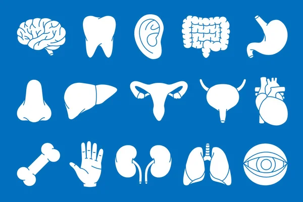 Zestaw Ludzkich Organów Mózg Ząb Ucho Jelita Żołądek Nos Wątroba — Wektor stockowy