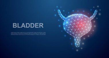 Bladder 3d low poly symbol with pain center for landing page template. Bladder pain design illustration. Polygonal organ illustration. Low poly symbol