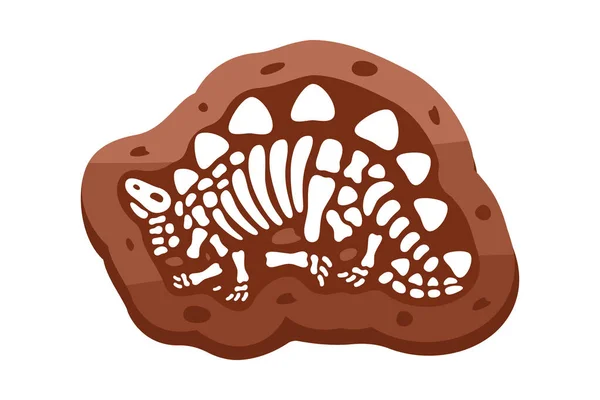 Σκελετός Απολιθωμάτων Στεγόσαυρου Απολιθώματα Στεγόσαυρου Σκελετός Δεινοσαύρου Οστά Δεινοσαύρου Κρανίο — Διανυσματικό Αρχείο