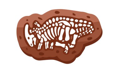 Parasaurolophus fosilleri iskelet. Parasaurolophus fosil kemikleri. Dinozor iskeleti. Kafataslı dinozor kemikleri. Paleontoloji ve arkeoloji. Beyaz arka planda izole edilmiş tarih öncesi yaratık.