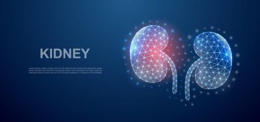 İniş sayfası şablonu için ağrı merkezi olan böbrekler 3D düşük polimerli sembol. Böbrek ağrısı, idrar tasarımı çizim konsepti. Çokgen organ çizimi. Düşük polimerli sembol