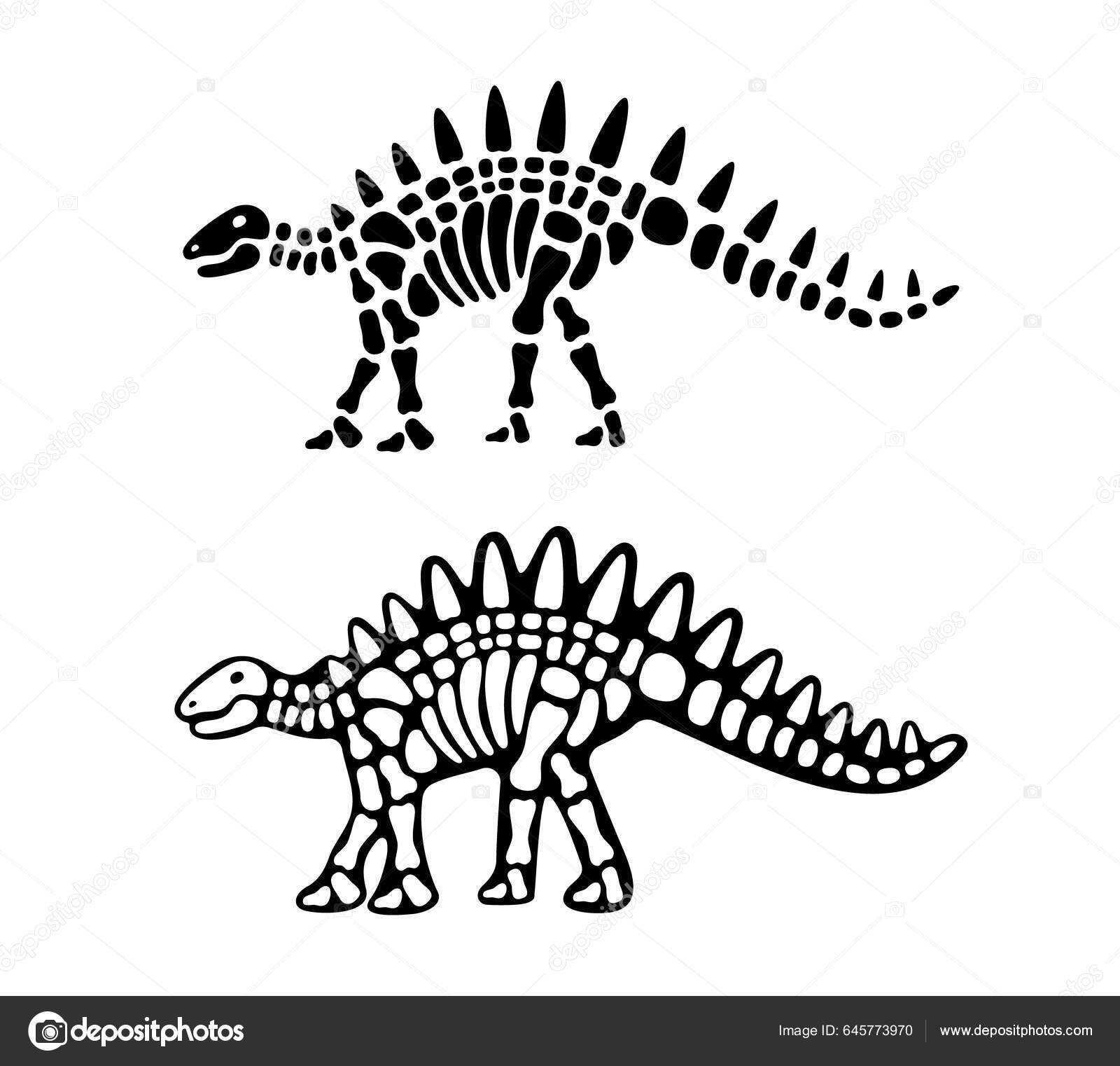 Ilustração de esqueleto de dinossauro t rex ossos de criaturas  pré-históricas isolados elemento de design de fósseis de tiranossauro  predador antigo perigoso vetor