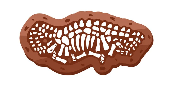 Brahiosaurus的骨骼化石 Brahiosaurus化石骨骼 恐龙骨骼 有颅骨的恐龙骨骼 古生物学和考古学 被白色背景隔离的史前生物 — 图库矢量图片