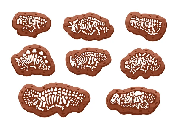 恐龙化石的骨骼 — 图库矢量图片