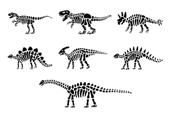 恐竜の骨格のセット トリケラトプス ティラノサウルス ケントロサウルス ブラヒオサウルス Velociraptor ステゴサウルス パラサウロフス 頭蓋骨の恐竜の骨 古生物学 — ストックベクタ