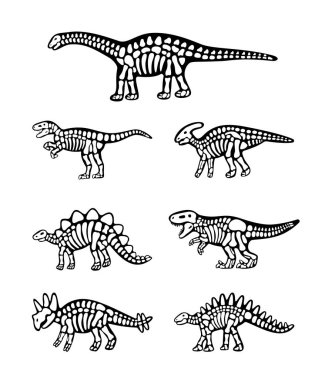 Dinozor kemikleri. Triceratops, Tyrannosaurus, Kentrosaurus, Brahiosaurus, Velociraptor, Stegosaurus, Parasaurolophus. Dinozor fosil parçaları Kafatası ile dinozor kemikleri