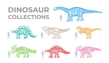 Dinozor iskeletleri hazır. Triceratops, Tyrannosaurus, Kentrosaurus, Brahiosaurus, Velociraptor, Stegosaurus, Parasaurolophus Dinozor kemikleri Paleontoloji ve arkeoloji Dinozor kemikleri siluetleri