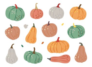 Sonbahar Cadılar Bayramı balkabakları. Balkabağı. Sonbahar balkabakları. Cadılar Bayramı sebzeleri Vektör çizimi. Beyaz arkaplanda izole.