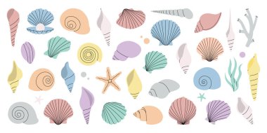 Deniz kabukları kuruldu. Tropik su altı kabukları. Tatlı su yosunları, mercanlar, denizyıldızları, deniz yumuşakçaları, deniz tarakları, inciler. Vektör çizimi. Beyaz arkaplanda izole.
