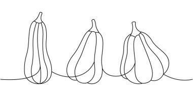 Sonbahar balkabakları. Balkabakları aralıksız çizim yapıyor. Sonbahar Cadılar Bayramı sebzeleri tek bir çizgiden ibarettir. Vektör minimalist doğrusal çizim. Beyaz arkaplanda izole