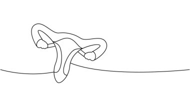 Üreme sistemi bir çizgi aralıksız çiziyor. İnsan iç organı sürekli tek bir çizgiden oluşuyor. Beyaz arkaplanda izole.