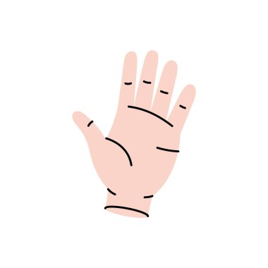 Elini ver. İnsan iç organı. Vektör çizimi. Beyaz arkaplanda izole.