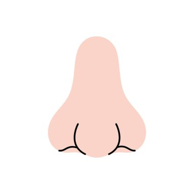 Burun. İnsan iç organı. Vektör çizimi. Beyaz arkaplanda izole.