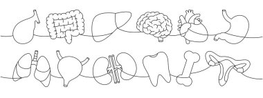 Organlar sürekli bir çizgi çiziyor. Kalp, böbrekler, safra kesesi, bağırsaklar, diş, beyin, akciğer, mide, karaciğer, üreme sistemi, göz, el, burun, kemik, kulak, mesane, bir çizgi çizim.