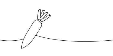 Havuç bir çizgi sürekli çizim. Taze organik sebze. Vektör çizimi. Beyaz arkaplanda izole