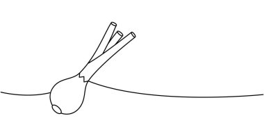 Soğan bir hat sürekli çizim. Taze organik sebze. Vektör çizimi. Beyaz arkaplanda izole