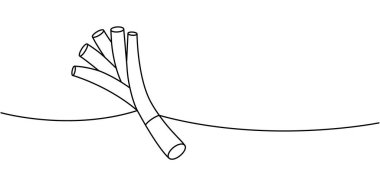 Taze soğan. Bir sıra sürekli çizim. Taze organik sebze. Vektör çizimi. Beyaz arkaplanda izole