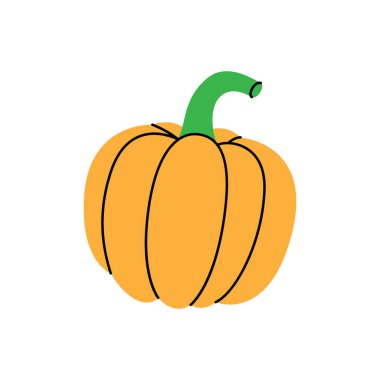 Taze balkabağı. Organik sebze. Vektör çizimi. Beyaz arkaplanda izole