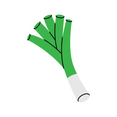 Taze soğan. Taze organik sebze. Vektör çizimi. Beyaz arkaplanda izole