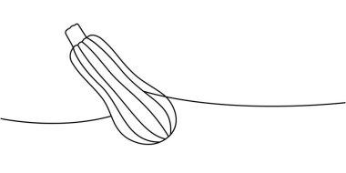 Kabak bir çizgi aralıksız çiziyor. Taze organik sebze. Vektör çizimi. Beyaz arkaplanda izole