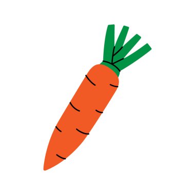 Havuç. Taze organik sebze. Vektör çizimi. Beyaz arkaplanda izole