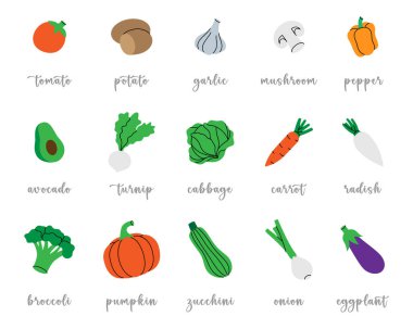 Taze sebzeler. Biber, havuç, domates, mantar, dolma biber, avokado, balkabağı, brokoli, lahana, şalgam, patlıcan. Taze organik sebzeler. Beyaz arkaplanda izole