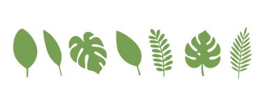 Tropikal yaprak koleksiyonu. Yaz, orman, yağmur ormanı ve çevre temalı grafik tasarım projeleri için minimalist botanik yaprak ideali.