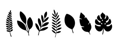 Siyah tropikal yapraklar. Orman, botanik, eko ve yaz temalı grafik tasarımlar, logolar ve dekoratif projeler için minimalist tarzda siluetler.