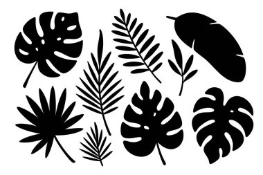 Tropikal yapraklar. Botanik baskılar, desenler, duvar sanatı, markalaşma ve tropikal yaratıcı projeler için ideal.