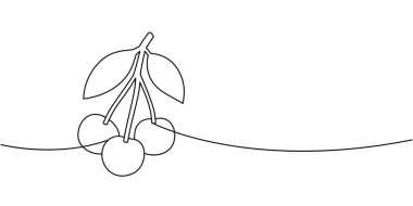 Saplı ve yapraklı aralıksız kirazlar. Duvar sanatı, logolar, posterler, ambalaj ve dekor için uygun basit vektör meyve taslağı çizimi.