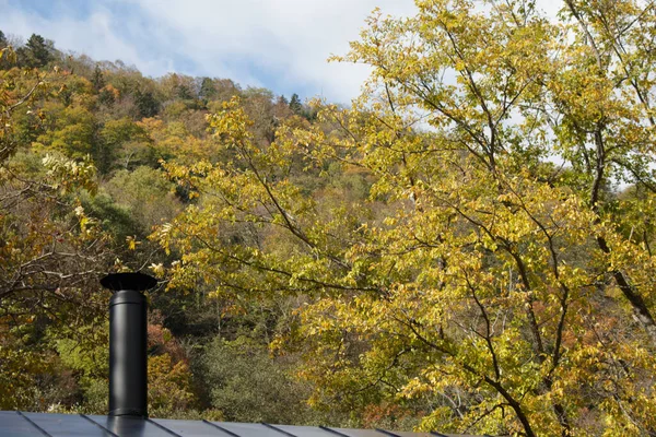 Log cabin metal chimney and Fall forest background