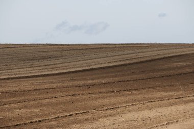 Yakın zamanda ekilmiş kahverengi toprağın boş arazisi