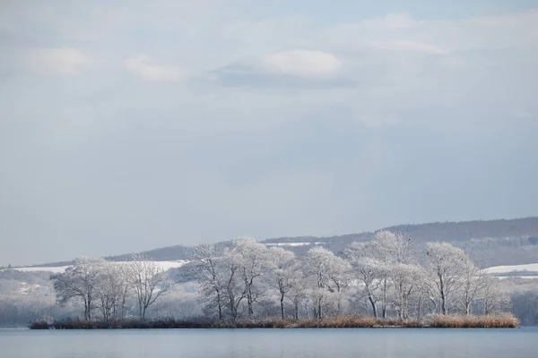 Large island with frozen trees in winter lake landscape, Hokkaido, Japan