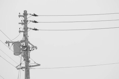 Utility pole and electricity cables against grey snowy sky