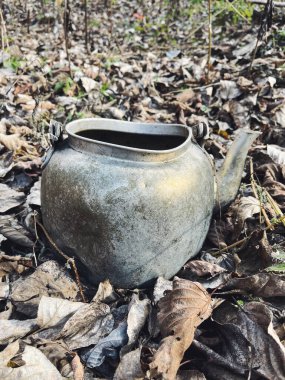 Old aluminum kettle on dry brown leaves
