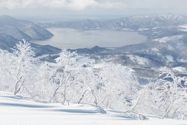 Árboles Nevados Montaña Con Vistas Lago Toya Hokkaido —  Fotos de Stock