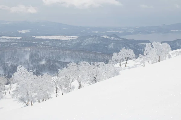 Árboles Congelados Una Ladera Montaña Una Estación Esquí —  Fotos de Stock