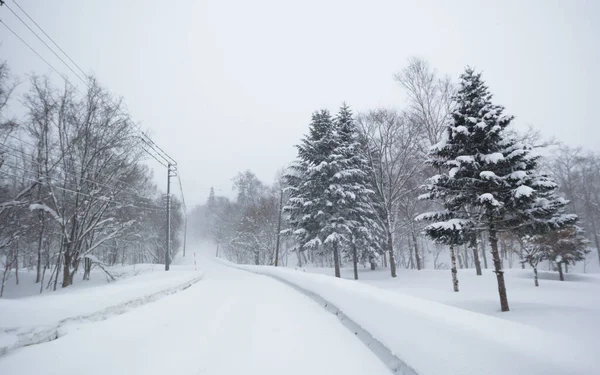 雪に覆われた田舎道と松の木 ロイヤリティフリーのストック写真