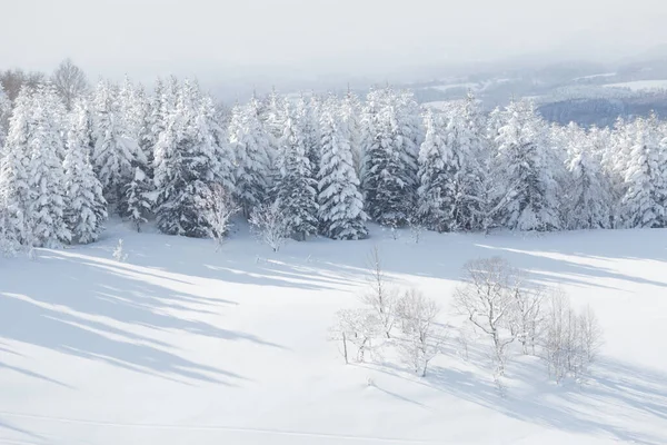 Invierno Paisaje Cubierto Nieve Árboles Campo — Foto de Stock