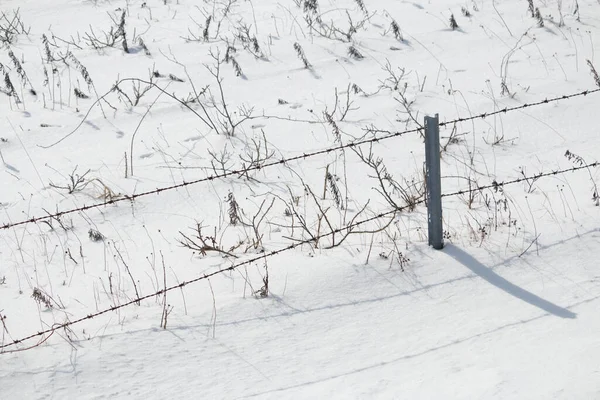 Забор Колючей Проволоки Зимнем Снежном Поле — стоковое фото