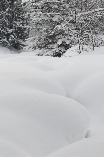 Montañas Nieve Recién Caída Con Fondo Forestal — Foto de Stock