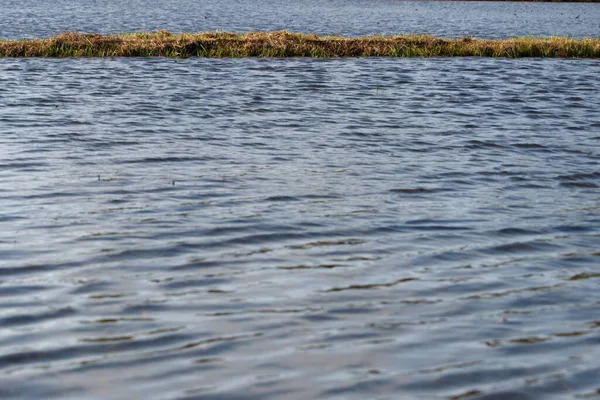 stock image Water in a Japanese rice paddy