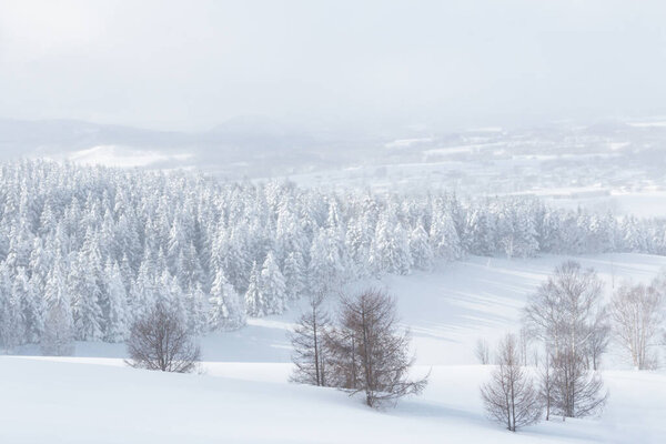 Красивый зимний снежный сказочный рождественский пейзаж