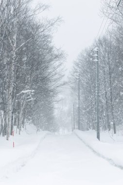 Kışın tek bir patika ormanlık kır yolu