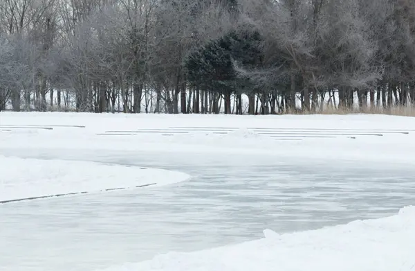 Orman zeminli açık hava buz pateni pisti