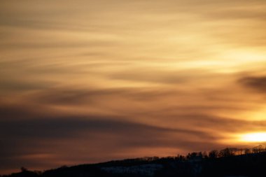 Koyu sarı günbatımı gökyüzünü ağaçların üzerine örttü.