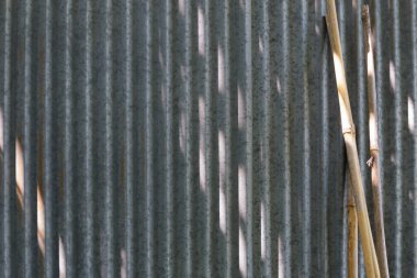 Bambu bahçe bastonları kıvrımlı alüminyum barakaya dayanır.