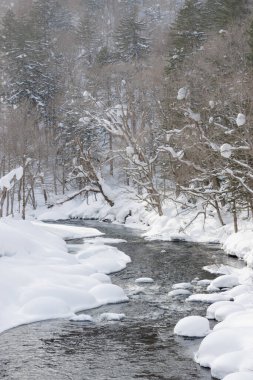 Japon topraklarında kışın nehir kıvrımlarında kayaları kaplayan kar.