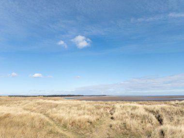 West Sands, St Andrews, İskoçya 'daki Çimenli kum tepeleri ve Eden Nehri