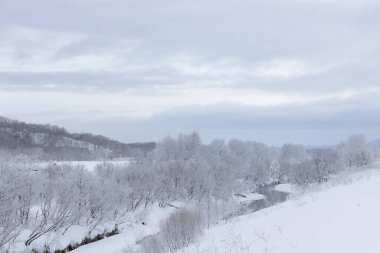 Nehir beyaz Japon donmuş kış manzarasında akıyor.